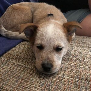 Meet your Posher, Britany